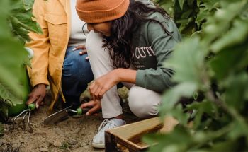 7 Simple Tips to Grow Your Own Vegetable Garden