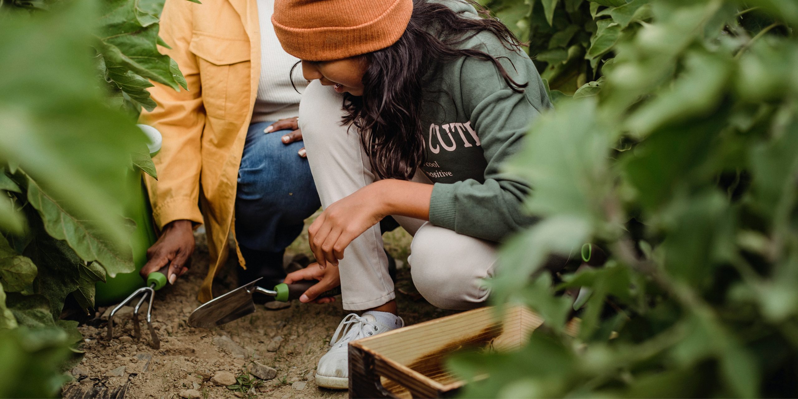 7 Simple Tips to Grow Your Own Vegetable Garden